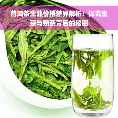 普洱茶生熟价格差异解析：探究生茶与熟茶背后的秘密