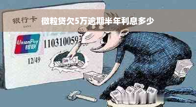 微粒贷欠5万逾期半年利息多少