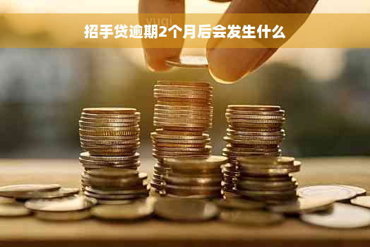 招手贷逾期2个月后会发生什么