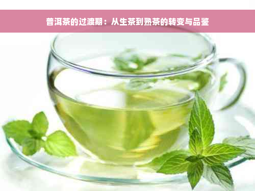 普洱茶的过渡期：从生茶到熟茶的转变与品鉴