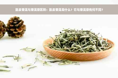 陈皮普洱与普洱茶区别：陈皮普洱是什么？它与普洱茶有何不同？