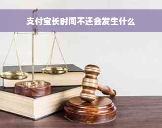 支付宝长时间不还会发生什么