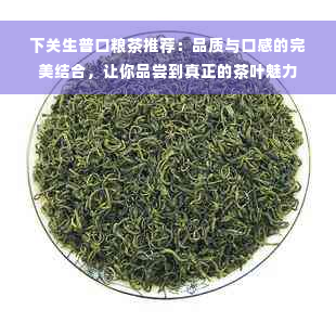 下关生普口粮茶推荐：品质与口感的完美结合，让你品尝到真正的茶叶魅力