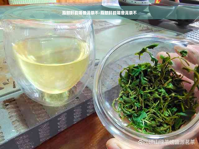 脂肪肝能喝普洱茶不-脂肪肝能喝普洱茶不