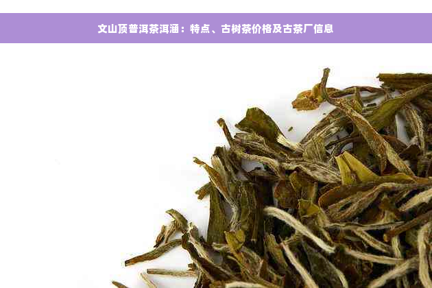 文山顶普洱茶洱涵：特点、古树茶价格及古茶厂信息