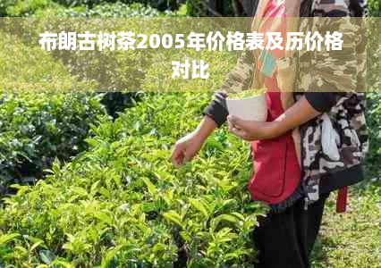 布朗古树茶2005年价格表及历价格对比