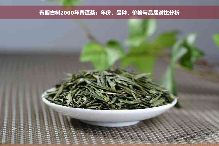 布朗古树2000年普洱茶：年份、品种、价格与品质对比分析