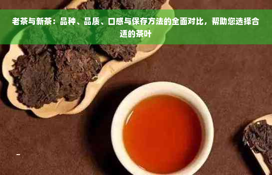 老茶与新茶：品种、品质、口感与保存方法的全面对比，帮助您选择合适的茶叶