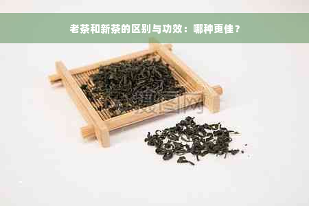 老茶和新茶的区别与功效：哪种更佳？