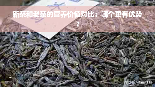 新茶和老茶的营养价值对比：哪个更有优势？