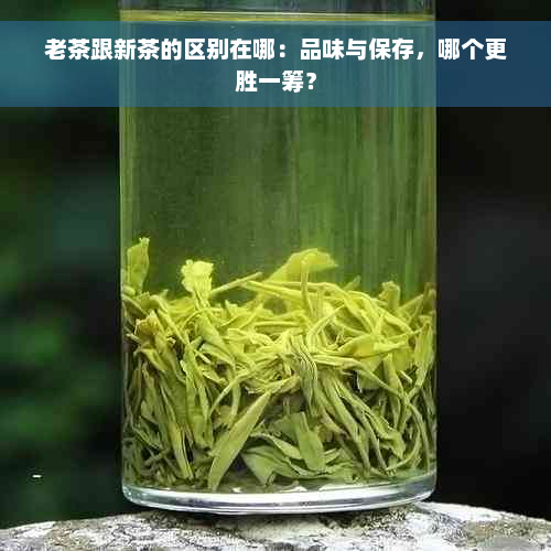 老茶跟新茶的区别在哪：品味与保存，哪个更胜一筹？