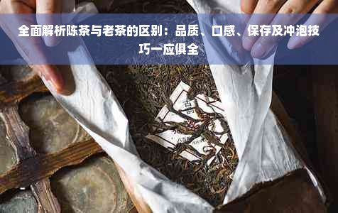 全面解析陈茶与老茶的区别：品质、口感、保存及冲泡技巧一应俱全