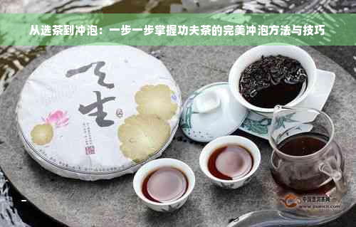 从选茶到冲泡：一步一步掌握功夫茶的完美冲泡方法与技巧