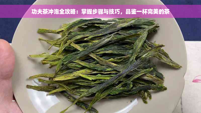 功夫茶冲泡全攻略：掌握步骤与技巧，品鉴一杯完美的茶