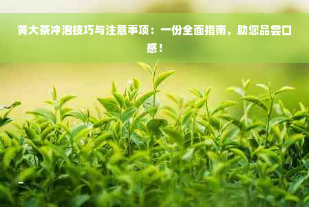 黄大茶冲泡技巧与注意事项：一份全面指南，助您品尝口感！