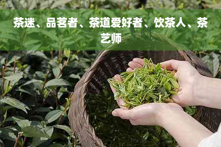 茶迷、品茗者、茶道爱好者、饮茶人、茶艺师