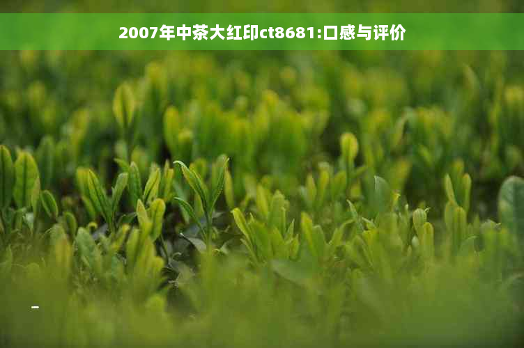 2007年中茶大红印ct8681:口感与评价