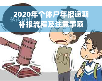 2020年个体户年报逾期补报流程及注意事项