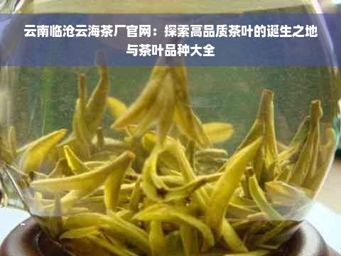 云南临沧云海茶厂官网：探索高品质茶叶的诞生之地与茶叶品种大全