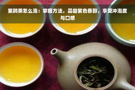 紫鹃茶怎么泡：掌握方法，品尝紫色香醇，享受冲泡度与口感