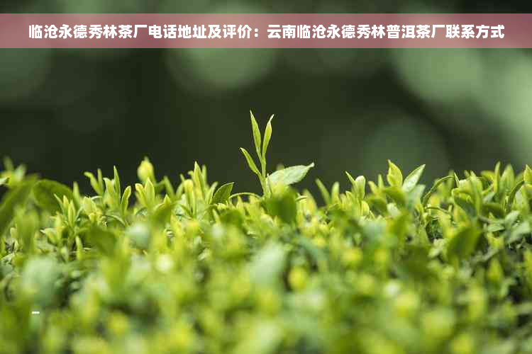 临沧永德秀林茶厂电话地址及评价：云南临沧永德秀林普洱茶厂联系方式