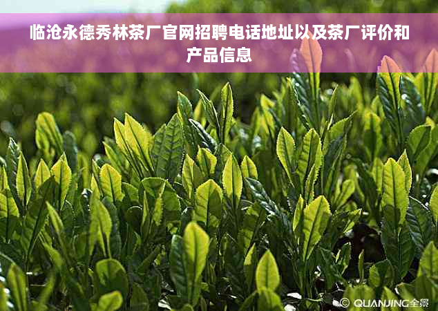 临沧永德秀林茶厂官网招聘电话地址以及茶厂评价和产品信息