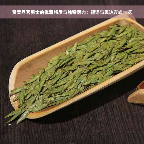 赞美品茗男士的优雅特质与独特魅力：短语与表达方式一览