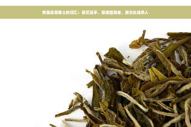 赞美品茗雅士的词汇：茶艺高手、茶道倡导者、茶文化传承人