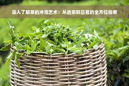 深入了解茶的冲泡艺术：从选茶到品茗的全方位指南