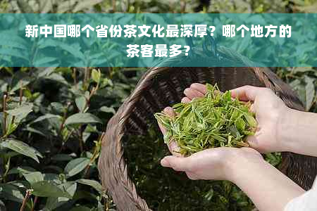 新中国哪个省份茶文化最深厚？哪个地方的茶客最多？