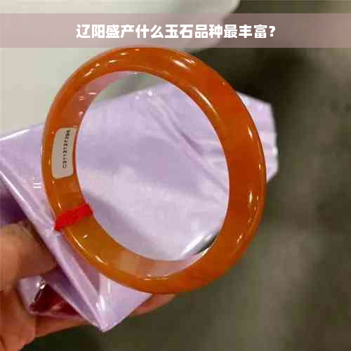 辽阳盛产什么玉石品种最丰富？