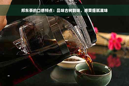 邦东茶的口感特点：品味古树韵味，感受细腻滋味