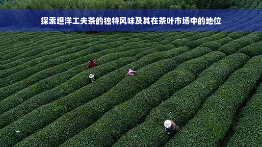 探索坦洋工夫茶的独特风味及其在茶叶市场中的地位