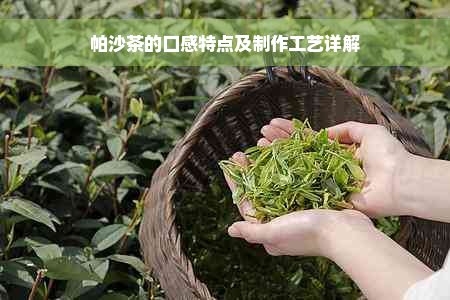 帕沙茶的口感特点及制作工艺详解