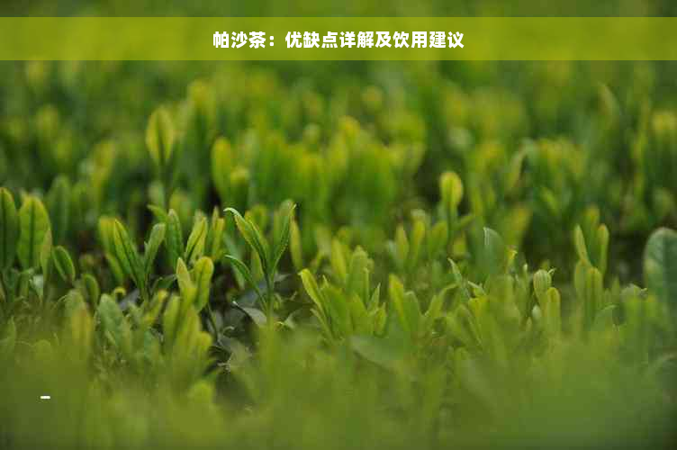 帕沙茶：优缺点详解及饮用建议