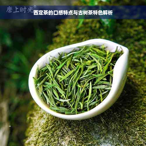 西定茶的口感特点与古树茶特色解析