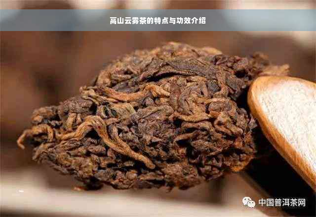 高山云雾茶的特点与功效介绍