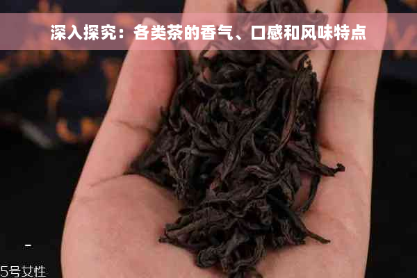 深入探究：各类茶的香气、口感和风味特点