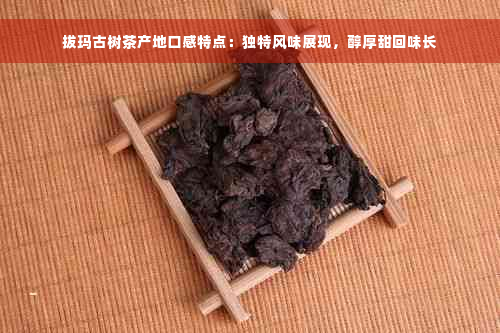 拔玛古树茶产地口感特点：独特风味展现，醇厚甜回味长