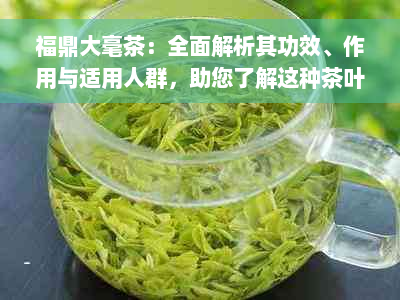 福鼎大毫茶：全面解析其功效、作用与适用人群，助您了解这种茶叶的完整信息