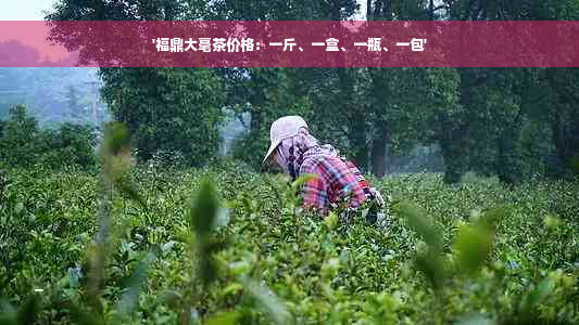 '福鼎大毫茶价格：一斤、一盒、一瓶、一包'