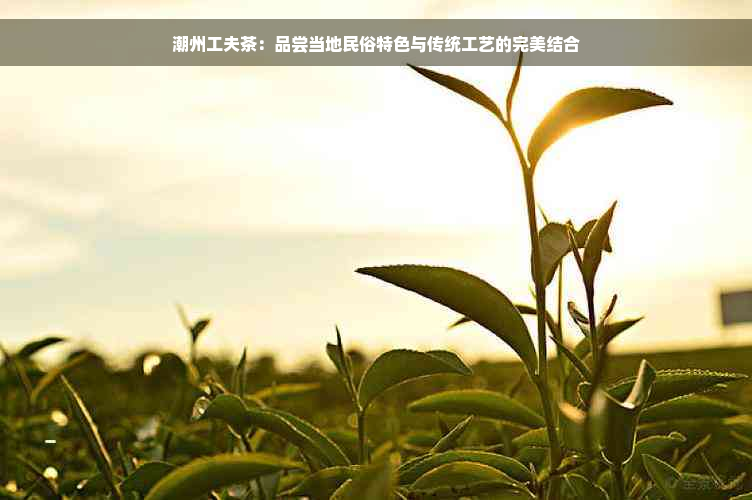 潮州工夫茶：品尝当地民俗特色与传统工艺的完美结合