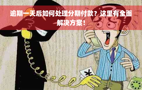 逾期一天后如何处理分期付款？这里有全面解决方案！