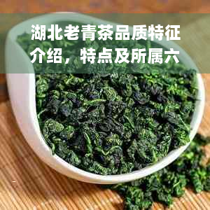 湖北老青茶品质特征介绍，特点及所属六大茶类推荐