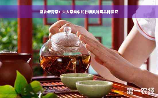 湖北老青茶：六大茶类中的独特风味与品种探究