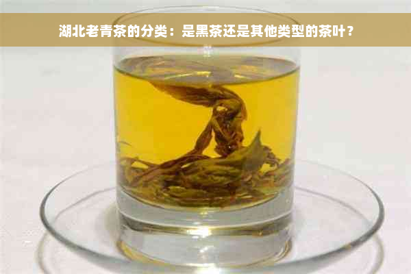 湖北老青茶的分类：是黑茶还是其他类型的茶叶？