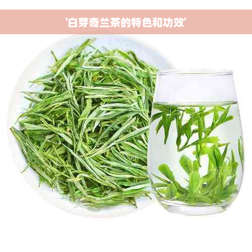 '白芽奇兰茶的特色和功效'