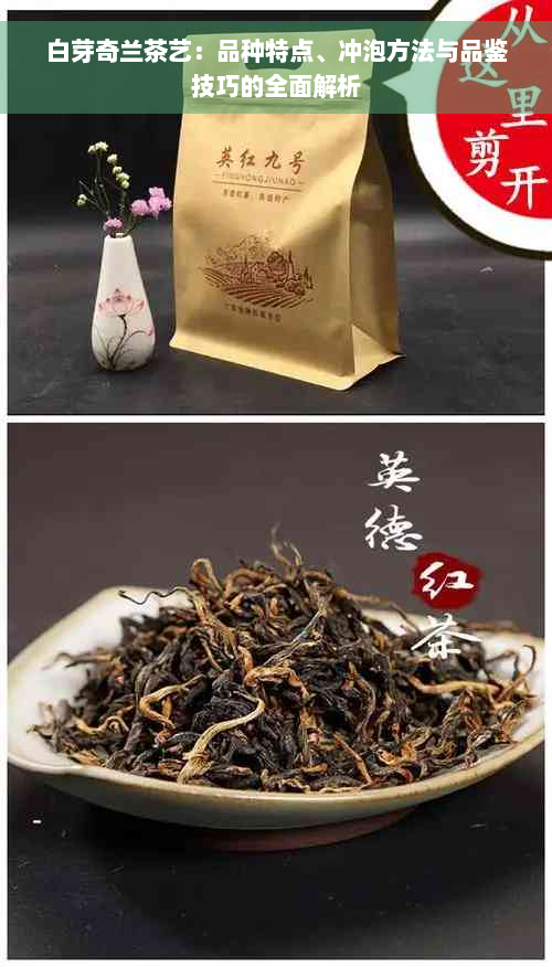 白芽奇兰茶艺：品种特点、冲泡方法与品鉴技巧的全面解析