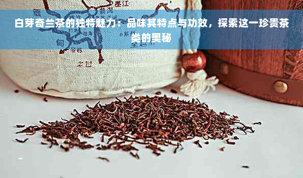 白芽奇兰茶的独特魅力：品味其特点与功效，探索这一珍贵茶类的奥秘