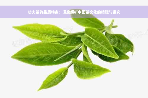 功夫茶的品质特点：深度解析中国茶文化的精髓与讲究